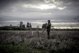 Wilstead 12-12-20-3508