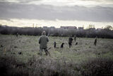 Wilstead 12-12-20-3513