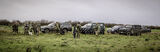 Wilstead 12-12-20-