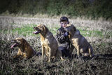 Wilstead 19th Oct 2019-5411