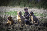 Wilstead 19th Oct 2019-5414