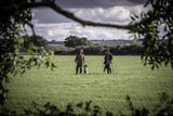 Wilstead 19th Oct 2019-5477