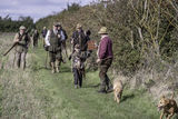 Wilstead 19th Oct 2019-5483