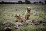 Wilstead 6 Nov 21-8627