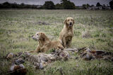 Wilstead 6 Nov 21-8629