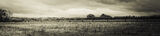 Wilstead 6 Nov 21-8722