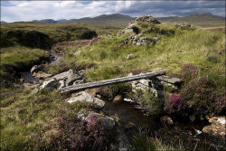 Beehive dwelling