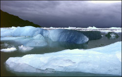 Blue icebergs in Patagonia