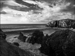 Dalbeg roller B+W