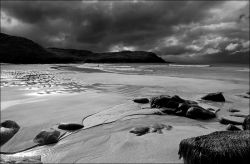 Dalmore with a surfer B+W