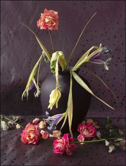 Still life with old roses