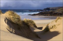 Eoropie dunes in winter