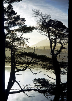 From the Lump, Portree