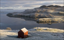Garyvard dawn frost