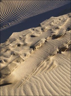Eoropie sand sculpture