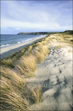 Traigh Mor, Tolsta