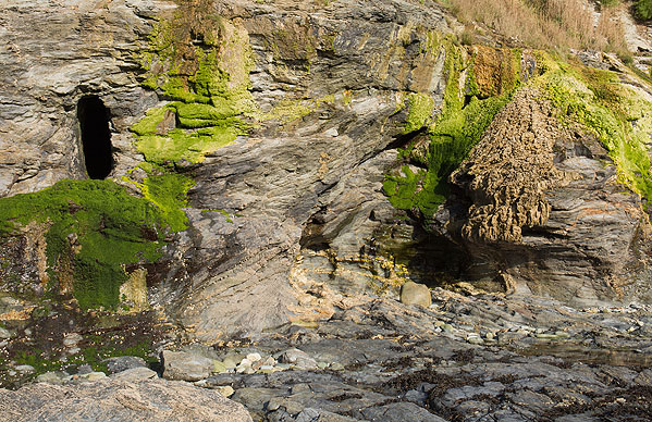 Stackhouse Cove - Tufa Deposits / Adit