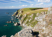 Broad Cliff Copse