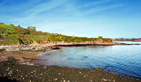 Saltern Cove