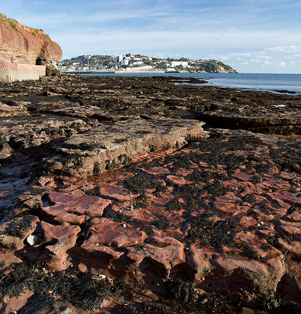 Corbyn's Head - Fossil Mudcracks (S37)