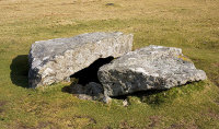 Merivale Cist