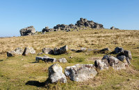 Ring Cairn / Cist - Houndtor Down
