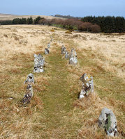 Shovel Down - Stone Row