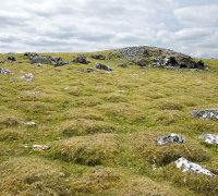 Cox Tor - Ant Mounds
