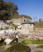 Tea Room