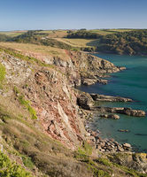 Connor's Cove