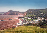 Salcombe Hill - 2