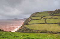Salcombe Hill