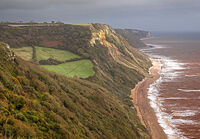 Lower Dunscombe Cliff