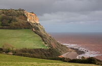 Higher Dunscombe Cliff