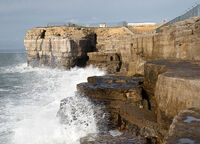 Raised Beach - Portland Bill (S43)