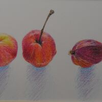 Three Crab Apples, left and right