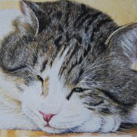 Larry (No 10 cat)  [after Mark Large, Daily Mail]