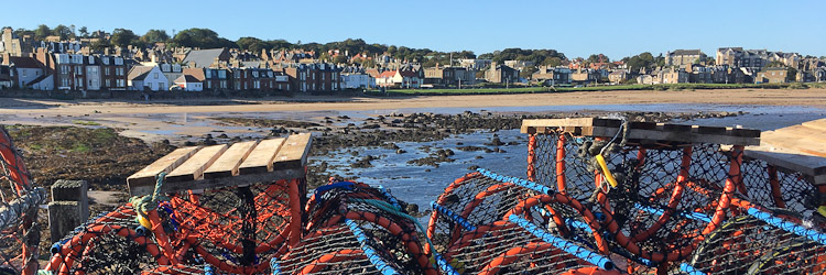 lobster pots at north berwick harbour