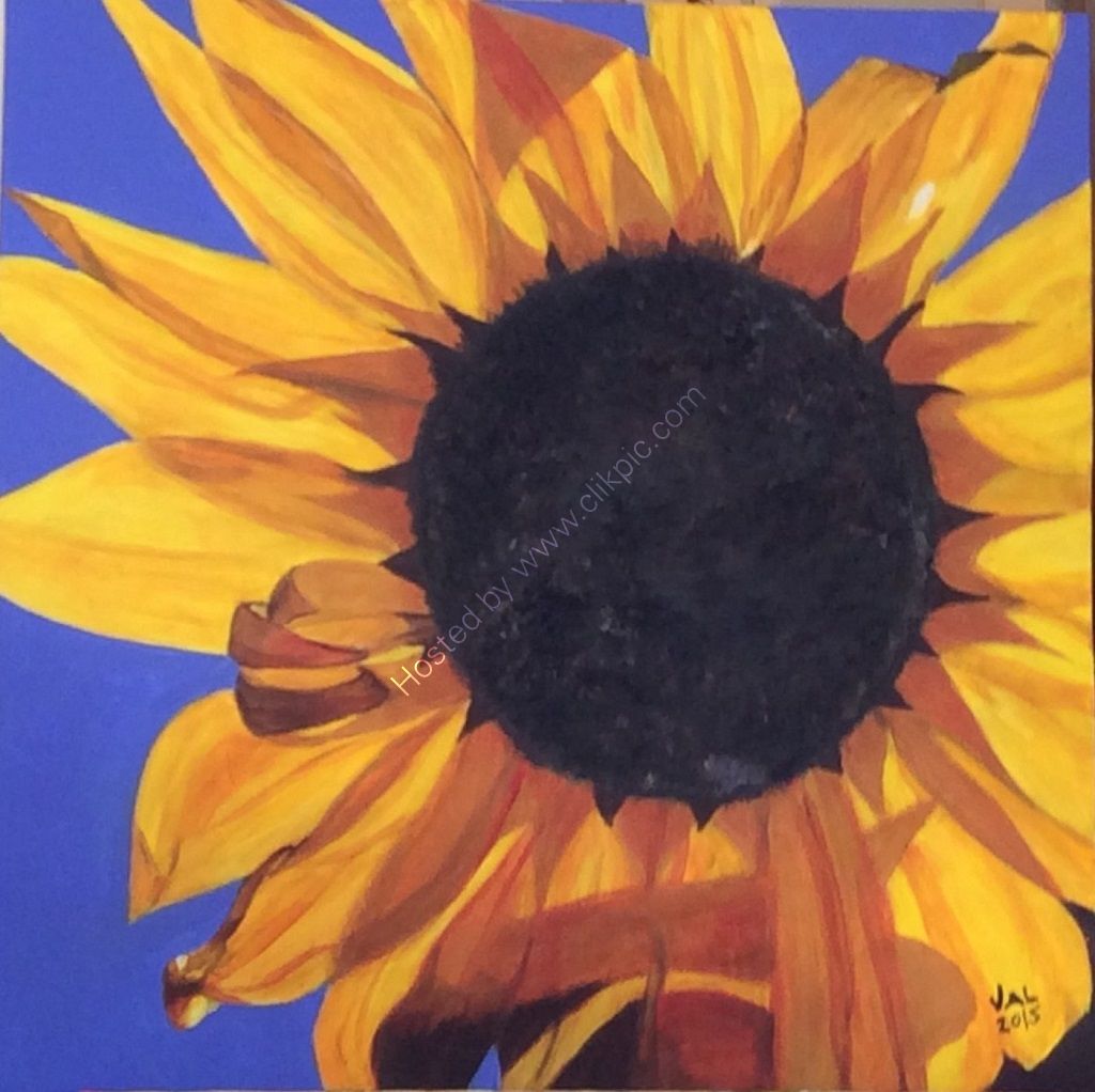 flower, colourful, sunshine, Mediterranean, sunflower