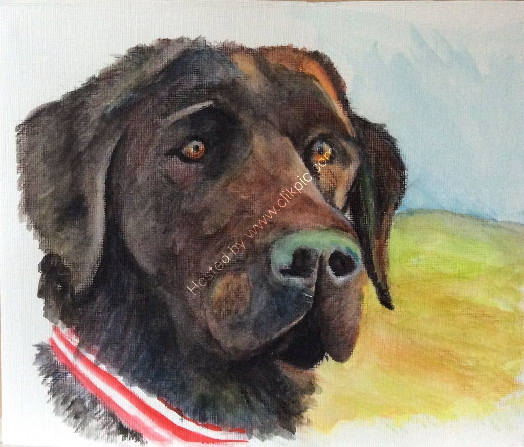dog, labrador, mixed media, pet portrait