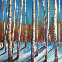 A woodland stand of silver birch with new shoots in spring