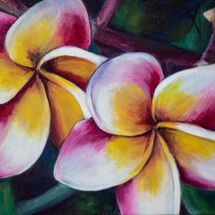 Frangipani 2