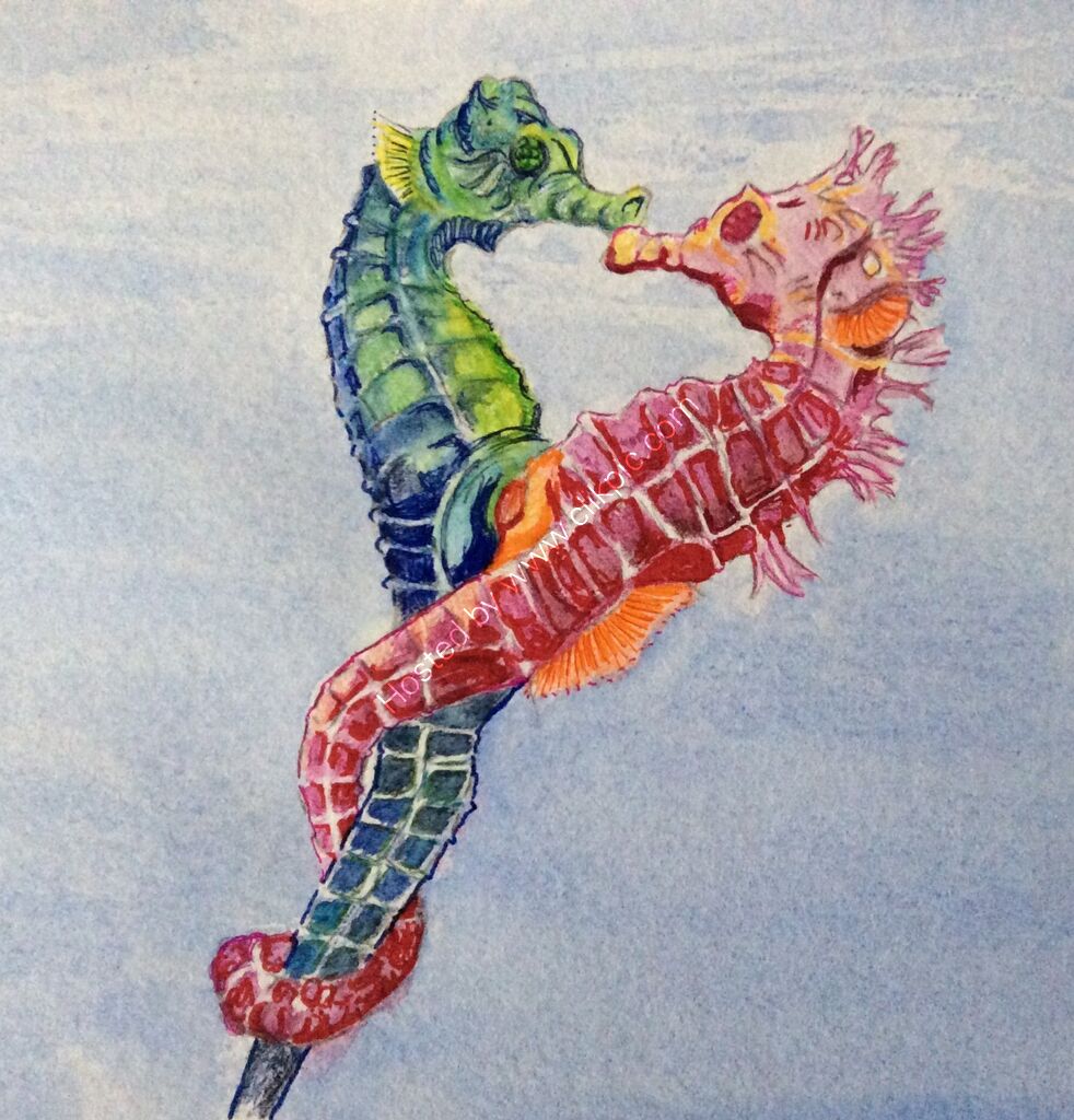 seahorses, sea creatures, marine life, sea, diving