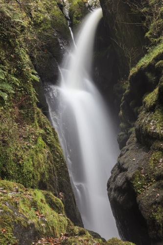 AIRA FORCE