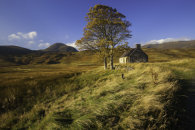 AUTUMN AT LETTERMORE