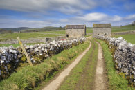 HARTINGTON BARNS