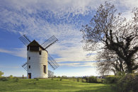 BEHIND ASHTON WINDMILL