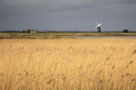 BURGH CASTLE MARSHES