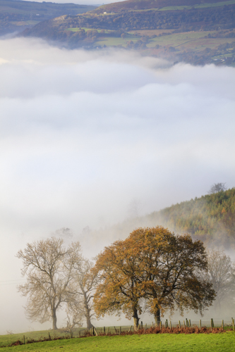 FOG IN THE USK VALLEY