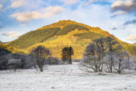 FROSTY MORNING IN GLEN GOIL